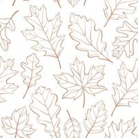 Oak, maple, leaves outline autumn seamless pattern. Autumn leaves background in doodle style. Monochrome brown foliage contour on white background pattern for wrapping paper, wallpaper, and fabric. vector