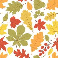 Autumn leaves seamless pattern. Fall oak, maple, and chestnut leaf. Botanical seasonal background for wrapping paper, wallpaper, and fabric. Autumnal foliage print on white background. vector