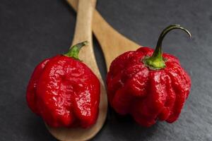 Two red hot peppers on a wooden spoon photo