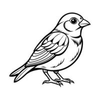 A black and white drawing of a Sparrow bird vector