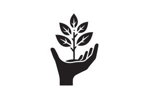 A hand holding a plant with leaves on it vector