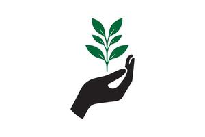 A hand holding a green plant on a white background vector