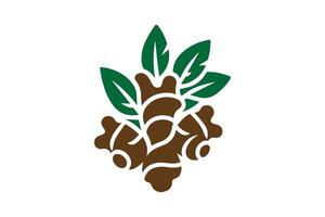 A logo for a company that makes ginger root vector