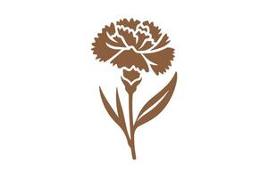 A brown carnation flower on a white background vector