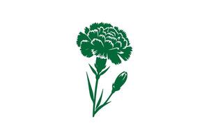 A green carnation flower on a white background vector