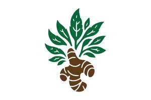 A green and brown ginger root with leaves vector