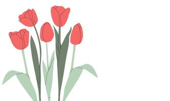 Red tulip flower set and place for your text isolated on white. Bouquet of tulips. Simple flat card design. vector