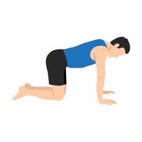 Man doing Table Top Pose or Bharmanasana yoga exercise. vector