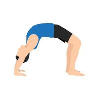 Man staying in a Reverse Table Top posture or Ardha Purvottanasana pose. vector