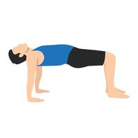 Man staying in a Reverse Table Top posture or Ardha Purvottanasana pose. vector