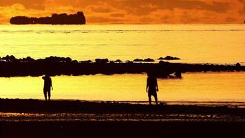 A fisherman walks along a beach in the sea at dawn to find shellfish. video
