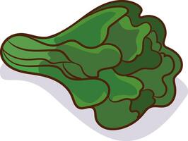 Spinach isolated on white background vector