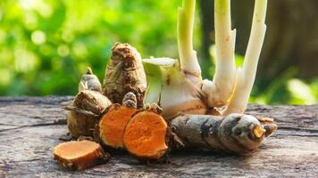 Turmeric or Curcuma longa Linn or rhizome root, a tuber plant that has a distinctive color and aroma photo