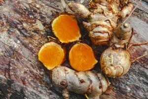 Turmeric or Curcuma longa Linn or rhizome root, a tuber plant that has a distinctive color and aroma photo