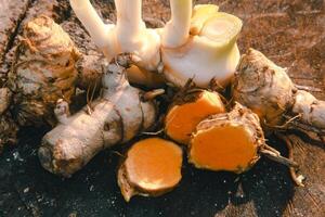 Turmeric or Curcuma longa Linn or rhizome root, a tuber plant that has a distinctive color and aroma photo