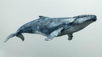 3D model of a whale with visible wake, likely for use in games or simulations. photo