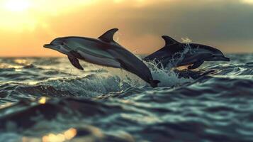 Two dolphins jumping out of the water, creating a spray as they go. photo