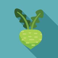 Green turnip vegetable showing two large leaves flat design icon vector