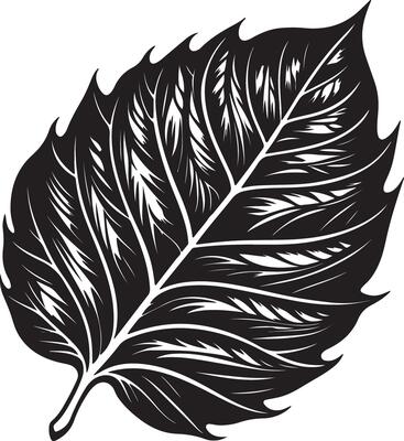 Black silhouettes of Leaf isolated on a white background.