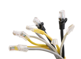 Group of multi-colored network cables with molded RJ45 plug on transparent background png