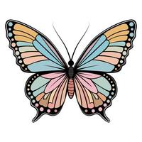 A color image of a butterfly. Butterfly in boho style vector