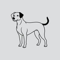 Pet Portrait in Line Drawing vector