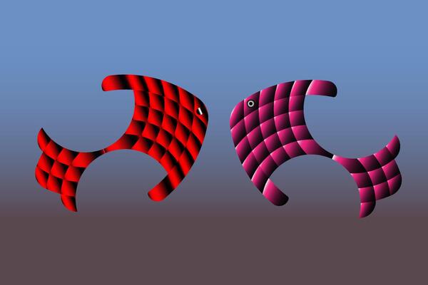 two red and pink fish with different designs