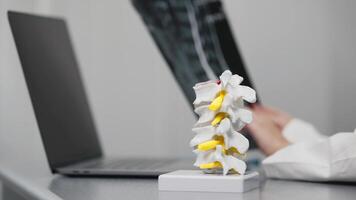 In a modern medical office, a doctor analyzes a spine X-ray alongside anatomical models, documenting findings on a laptop. Perfect for illustrating advanced diagnostics and patient care video