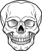 a black and white drawing of a skull with a white background. vector