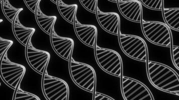 Abstract monochrome scientific background with dna spirals. Design. Moving DNA structures on a black background. video