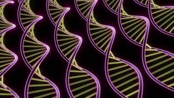 Moving genetic spirals. Design. Many lines of genetic dna helices. DNA spirals move and rotate in rows. Background for science and medicine video