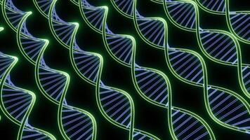 Moving genetic spirals. Design. Many lines of genetic dna helices. DNA spirals move and rotate in rows. Background for science and medicine video