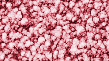 Stack of the popcorn snack. Motion. Close up of texture resembling colorful delicious popcorn. video