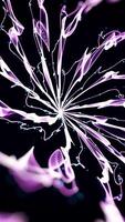 Abstract background with animation of rotation circles and rings with light rays and glow. Abstract explosive flower light background,art fireworks element backdrop. Circle Digital HUB, rotation video