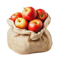 Fresh red apples in a burlap sack png