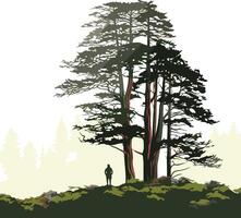 Silhouettes of a Man and Trees in a Foggy Forest vector