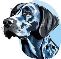 Close up illustration of a german shorthaired pointer's head, featuring detailed fur, expressive eyes, and a playful demeanor vector