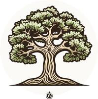 A detailed illustration of a large, spreading tree with intricate branches and leaves, perfect for nature themed designs vector