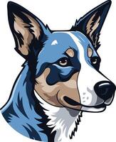 Portrait of a Blue Merle Australian Shepherd vector
