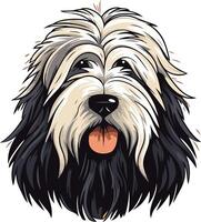 A Portrait of a Black and White Sheepdog vector