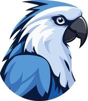 Blue Parrot with Sharp Eyes vector