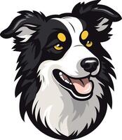Smiling Border Collie Portrait vector