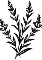 Elegant silhouette of lavender flowers, perfect for creating botanical designs, invitations, or adding a touch of nature to your projects vector