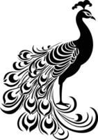 Elegant black and white silhouette of a peacock with its tail feathers spread wide vector