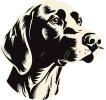 German Shorthaired Pointer Dog Portrait vector