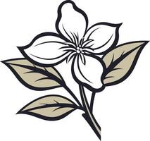 Elegant black and white illustration of a single blossom with leaves, perfect for branding, design, and print projects vector