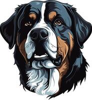 Portrait of a Bernese Mountain Dog vector
