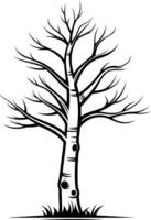 Simple, elegant silhouette of a bare tree vector