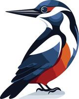 A colorful illustration of a kingfisher, a beautiful bird known for its bright plumage and sharp beak vector