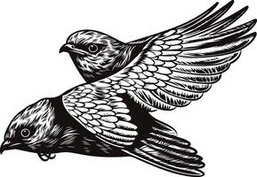 Vintage Illustration of Two Birds in Flight vector